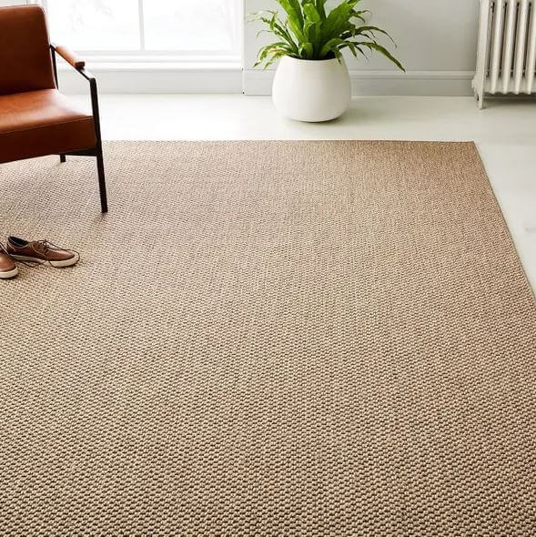 Sisal Carpet