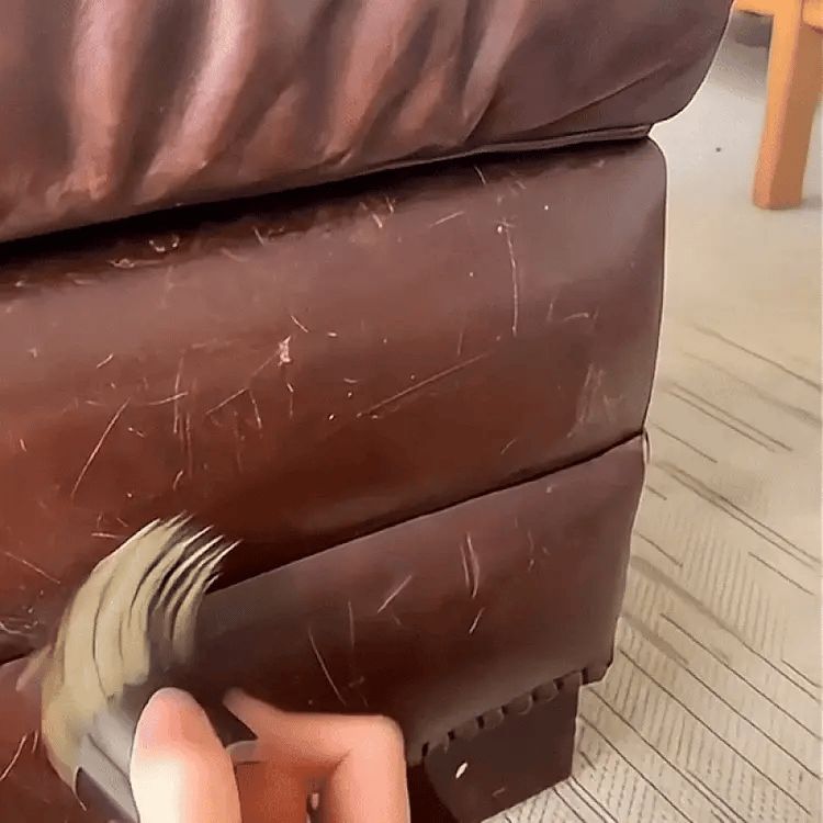 Leather Sofa Repairing